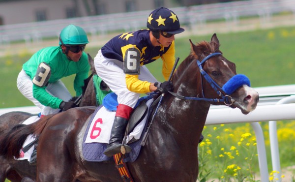 Lessen paardensport voor leidinggevenden Lessen paardensport voor leidinggevenden